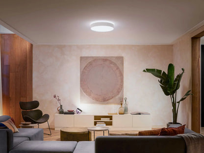 Enrave large ceiling lamp