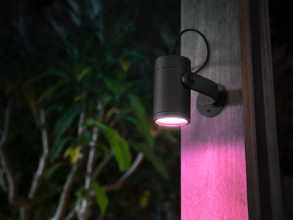 Lily Outdoor spot light