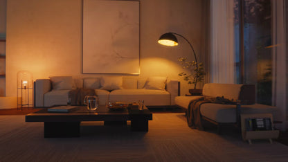 60W A19 2PACK- E26 smart bulbs