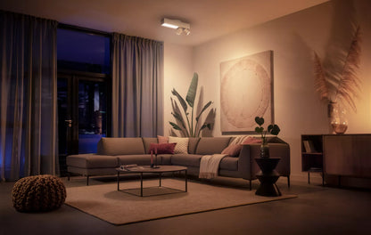 Centris 2-spot ceiling light