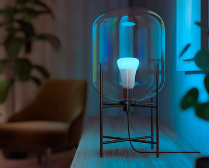 Starter kit: 2 E26 smart bulbs (60 W)