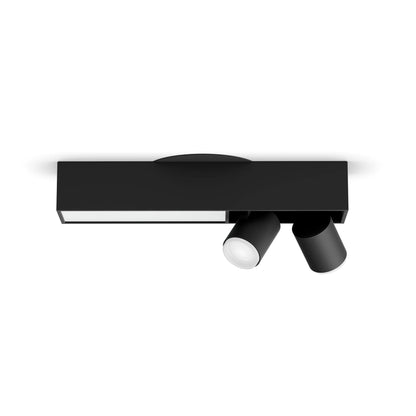 Centris 2-spot ceiling light