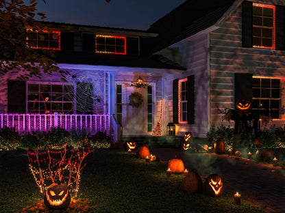 Festavia string lights 500 LEDs