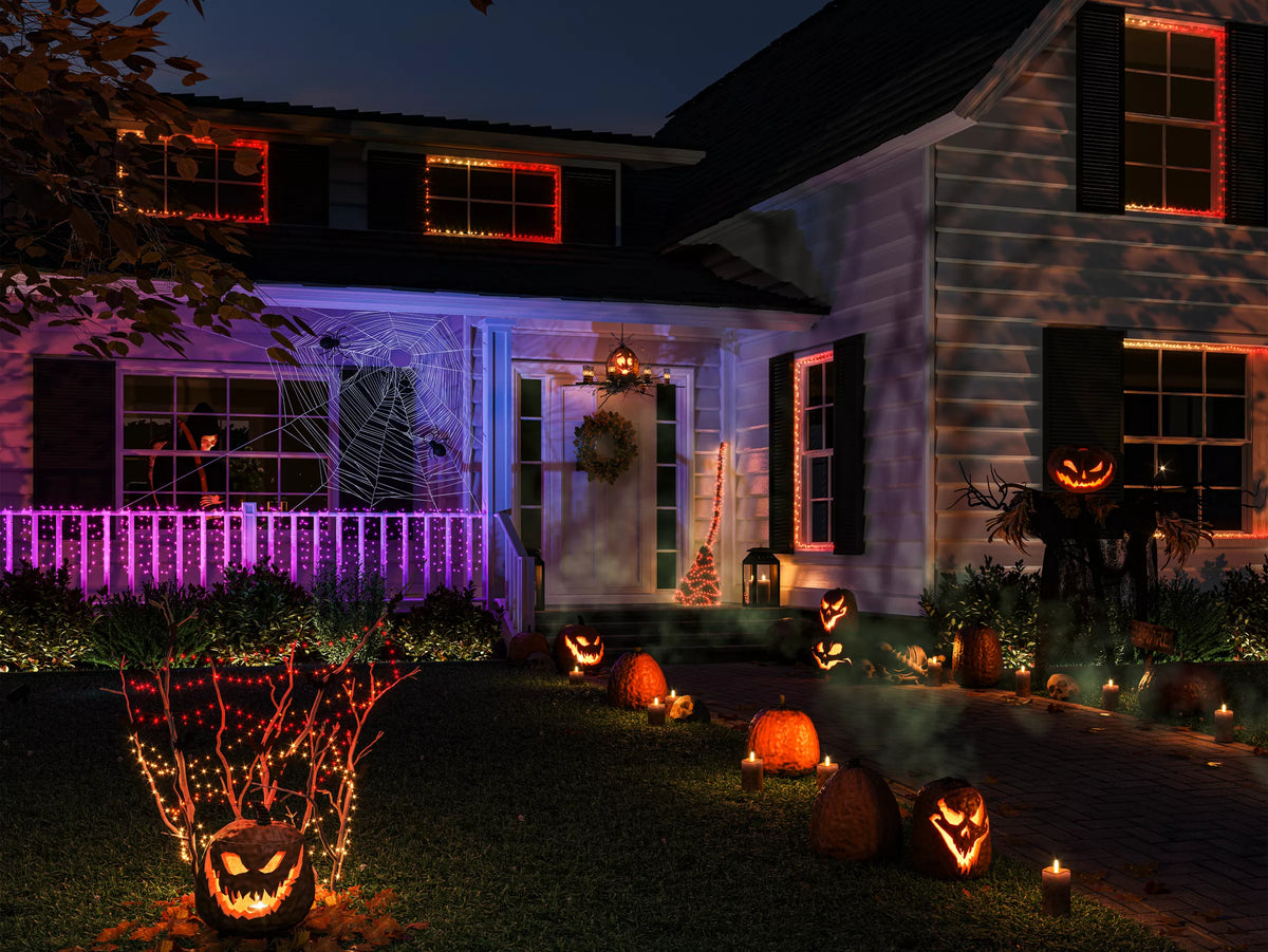 Festavia string lights 250 LEDs