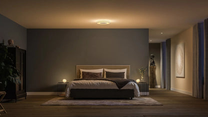 Being ceiling light white