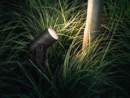 Lily Outdoor spot light