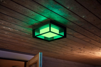 Econic Outdoor Wall Light