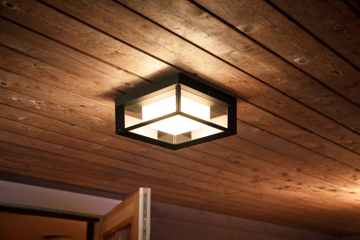 Econic Outdoor Wall Light