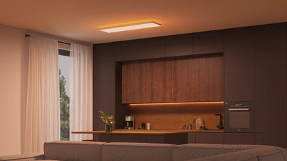 Datura Ceiling Light