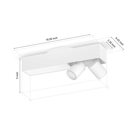 Centris 2-spot ceiling light