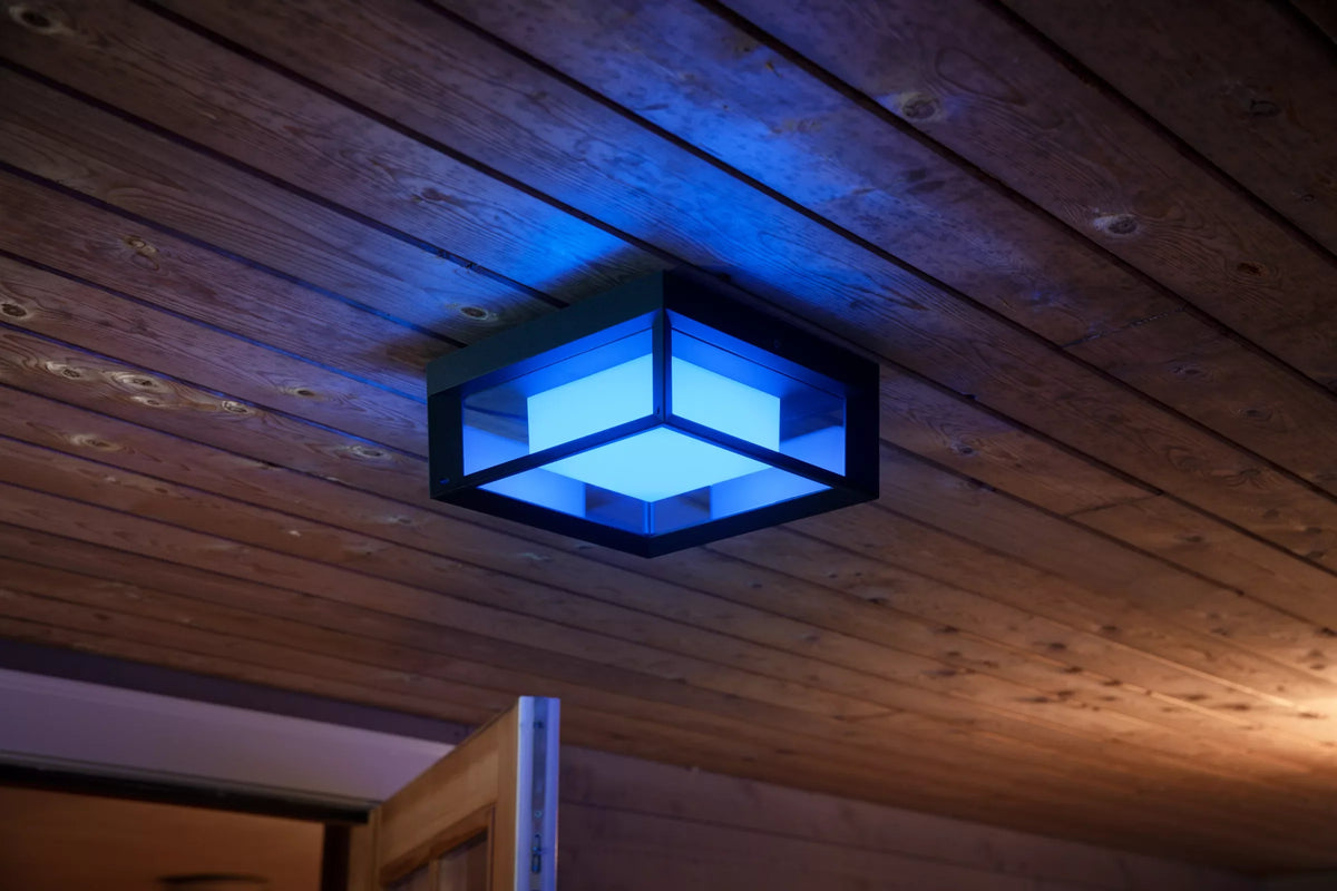 Econic Outdoor Wall Light