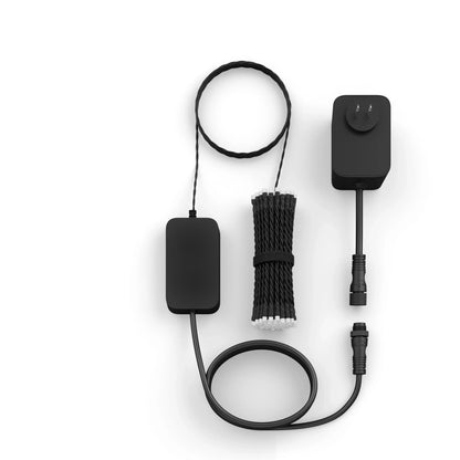 Festavia string lights 100 LEDs