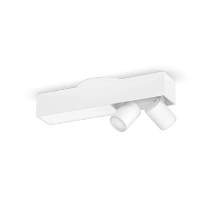 Centris 2-spot ceiling light