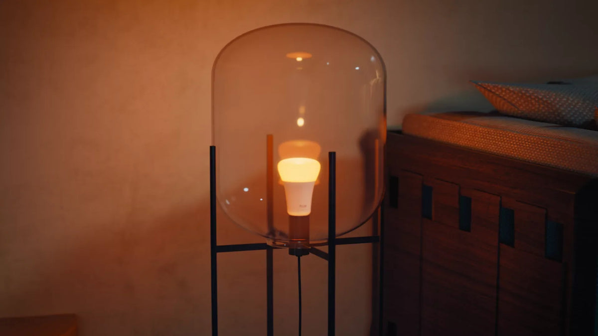 60W A19 - E26 smart bulb