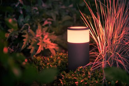Calla Outdoor bollard