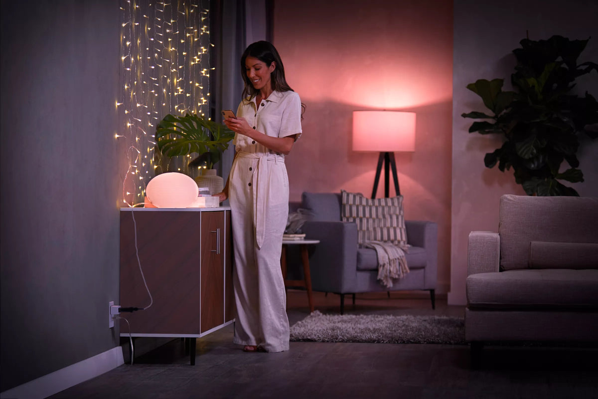 Smart plug