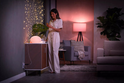 Smart plug
