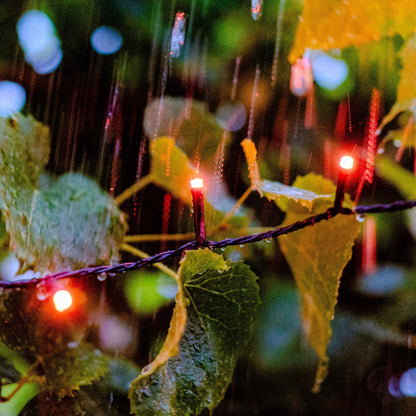 Festavia string lights 250 LEDs